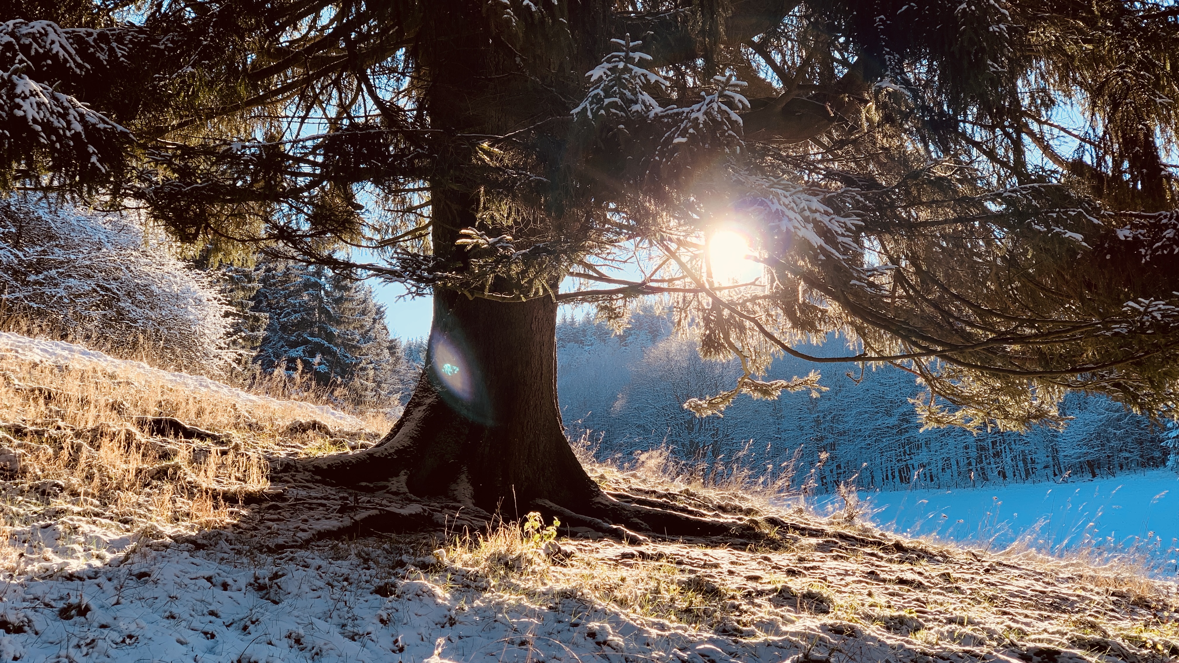 WINTER 6